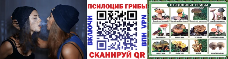 Псилоцибиновые грибы мухоморы Облучье